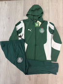 Conjunto Agasalho Palmeiras